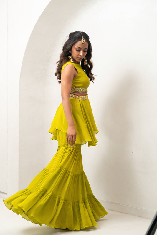 Parrot sharara set