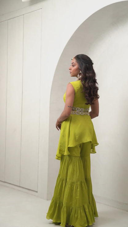 Parrot sharara set